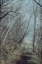 Looking down old beach road